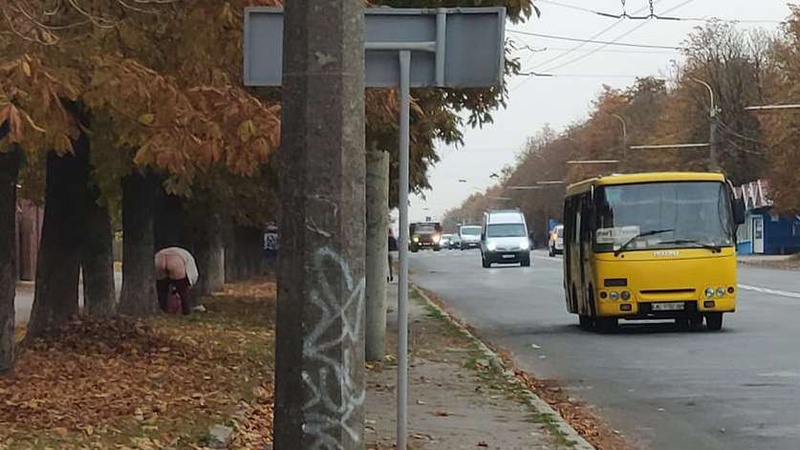 Коли немає куди: у Луцьку жінка не стрималась й сходила під дерево в туалет. ФОТО 18+