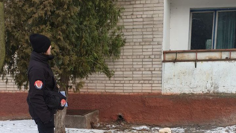 У Нововолинську незаконно зрубали тую