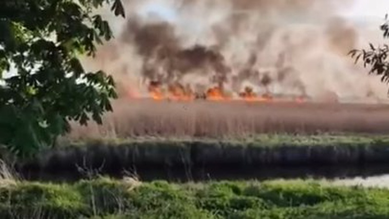 У Володимирі горить очерет