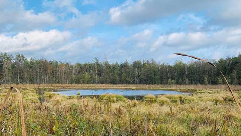 На Волині існує озеро у вигляді серця: де розташовано. ФОТО