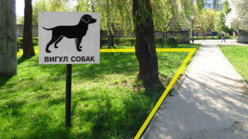 Луцькрада розгляне петицію про створення майданчиків для вигулу собак