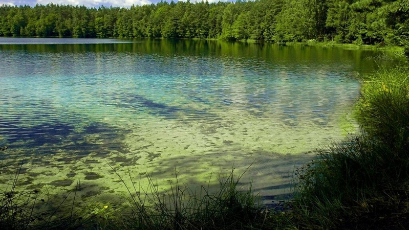 У Польщі рятувальники двічі спасали українку в озері