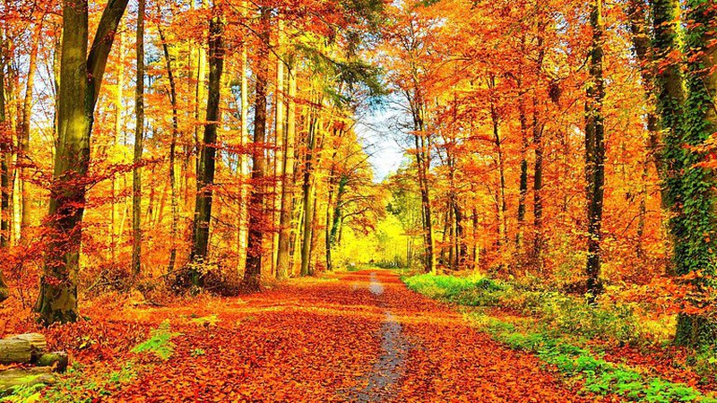 Синоптикиня прокоментувала аномально теплу погоду у жовтні. ВІДЕО