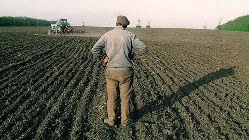 Юристи нагадали, за якої умови українці можуть залишаться без земельних паїв