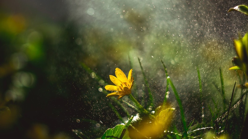 Синоптики спрогнозували погоду на Волині у вихідні