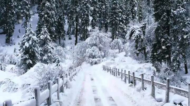 Яка погода очікується завтра, 31 січня