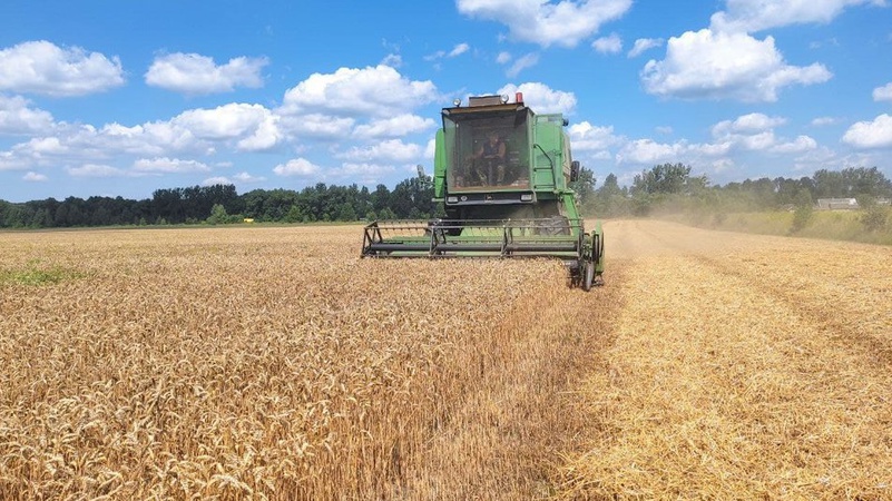 Жнива на Волині сповільнили дощі