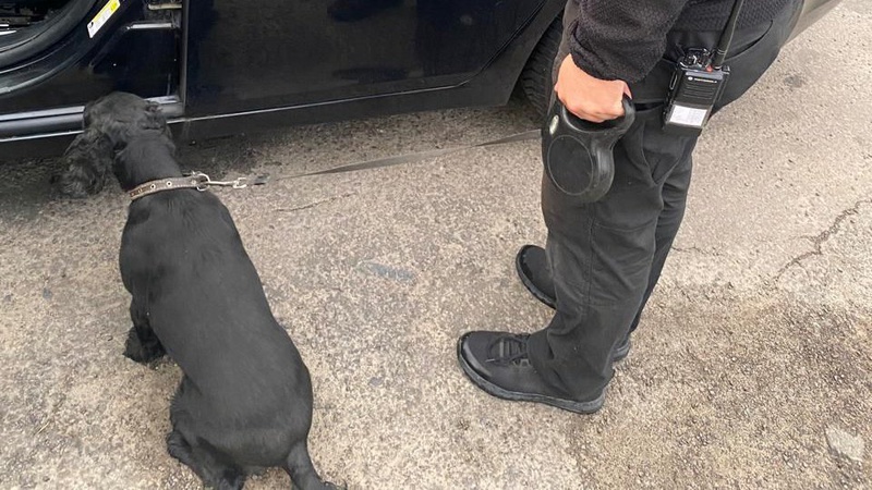 Сховав наркотики у кросівки: на Волинській митниці затримали поляка