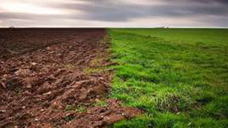 Відомий волинський співак YAKTAK присвятив щемливу пісню батькам