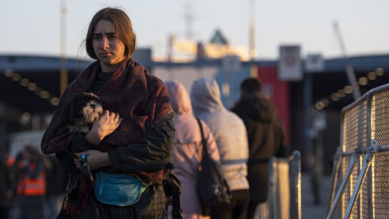 Уряд прогнозує нову хвилю внутрішніх переселенців восени, - Верещук