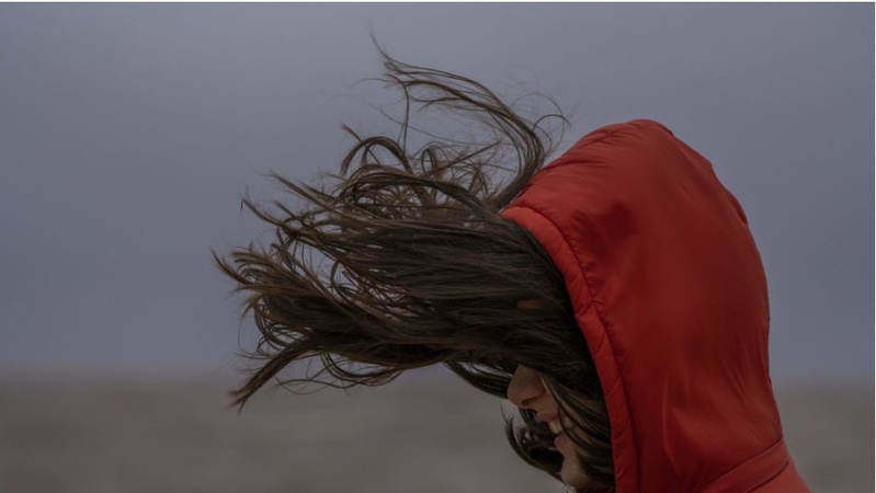 Жовтий рівень небезпечності: на Волині прогнозують сильний вітер