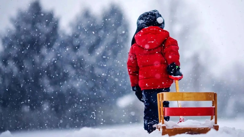 Невеликий сніг у низці областей: прогноз погоди на 28 січня
