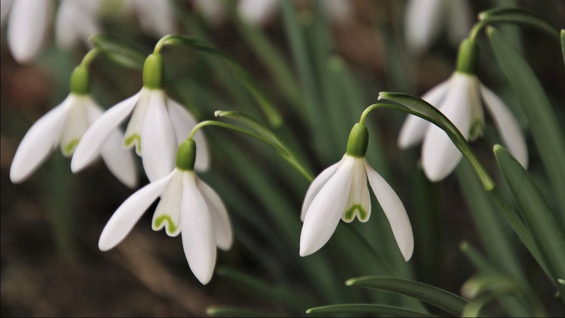 Від морозів до потепління: прогноз погоди на 24 лютого
