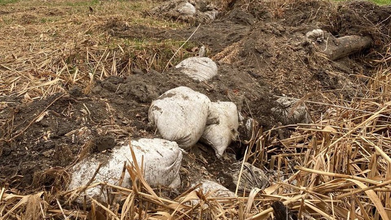 В орнітологічному заказнику в Луцьку закопали будівельне сміття. ФОТО. ВІДЕО
