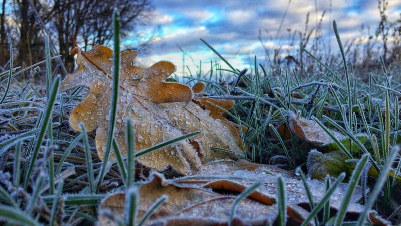 В Україні очікуються сильні заморозки: прогноз погоди на 11 жовтня
