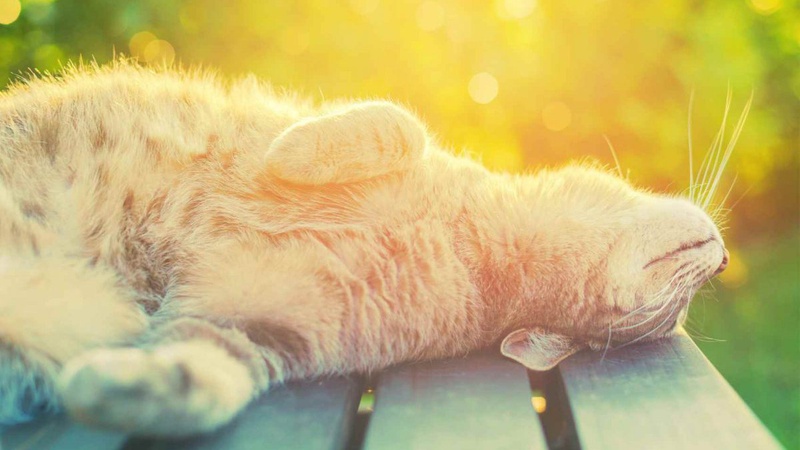 Вересень став найспекотнішим в історії спостережень у Європі та світі