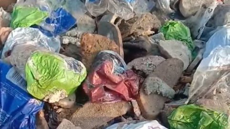 Поблизу Луцька на смітник викинули гору зіпсованого хліба. ВІДЕО