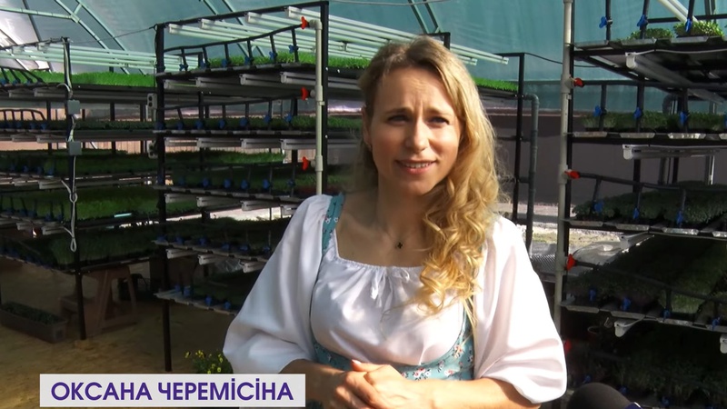 Лучанка хотіла схуднути та розпочала вирощувати мікрозелень: історія успіху