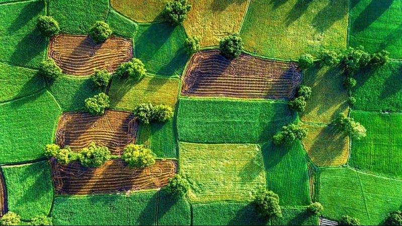 У громаді біля Луцька збираються виділити землю УПЦ МП