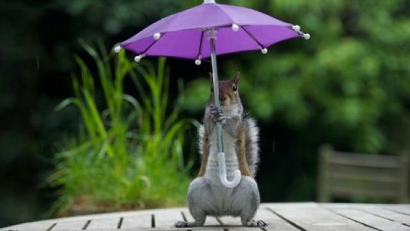 Яка погода очікується завтра, 3 серпня