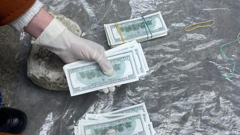 26-річна волинянка продала дитину за 30 тисяч доларів США. ФОТО