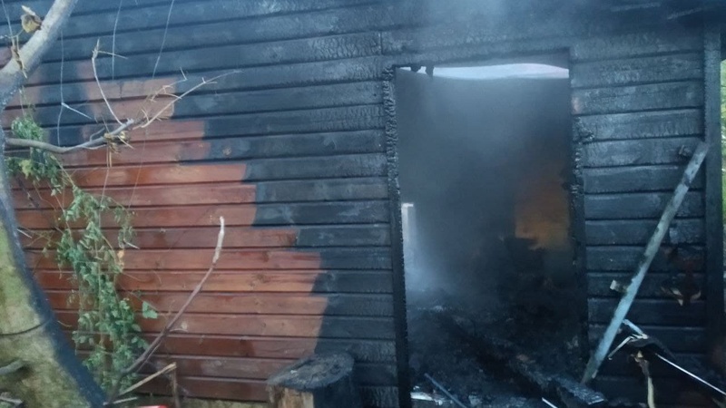 Під час пожежі в Луцькому зоопарку загинули три мавпи