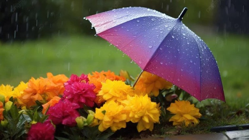 Місцями дощі, до 26° тепла: прогноз погоди на 24 травня