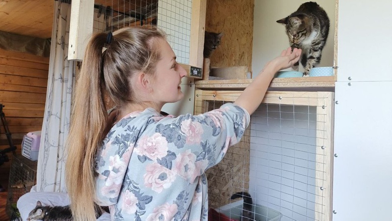 Як у громаді на Волині допомагають безпритульним тваринам