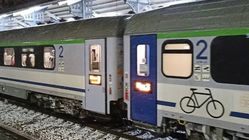 У Польщі після заяви українки можуть посадити прибиральницю поїзда