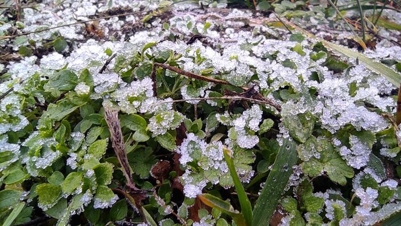 Мороз вночі та туман: прогноз погоди на 18 жовтня