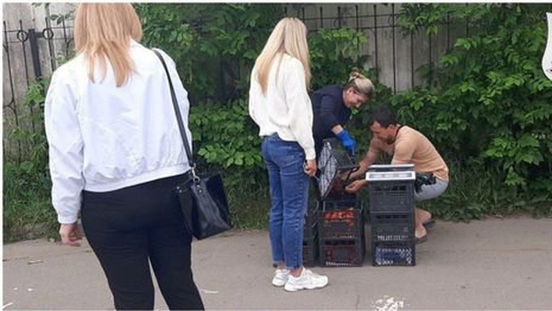 Луцькі муніципали оштрафували пару, яка продавала полуницю на тротуарі.ФОТО