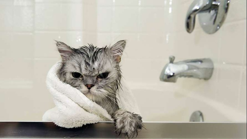 У Луцьку 40 тисяч споживачів четвертий день без гарячої води: коли відновлять послугу