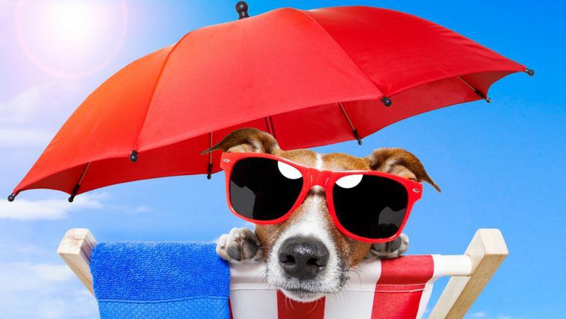 Україну охопить денна спека з прохолодними ночами