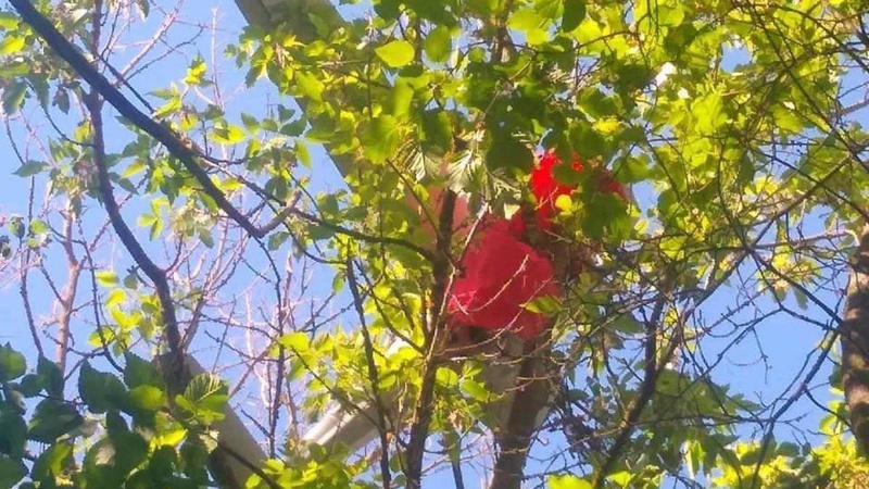 Українські воїни знищили ворожий «Орлан»