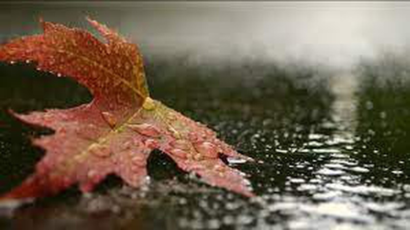 Хмарно, у низці областей дощитиме: прогноз погоди на 26 жовтня