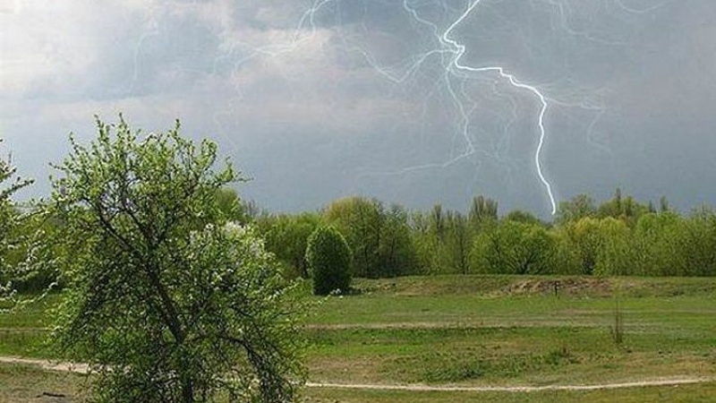 Блискавка вбила 63-річного чоловіка на Рівненщин