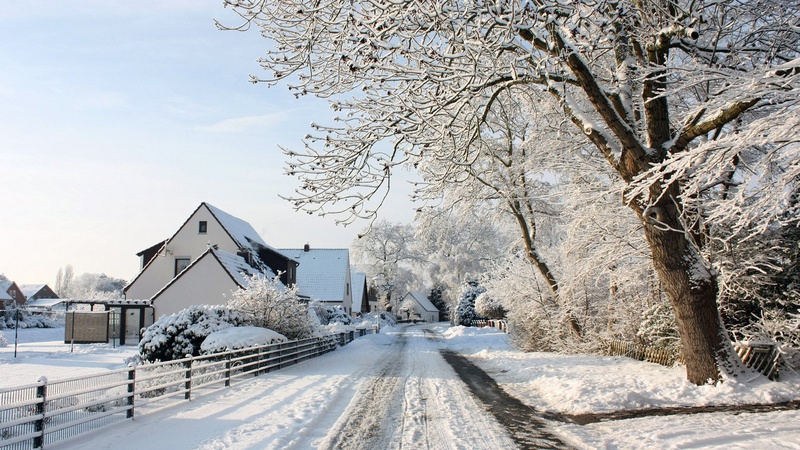 Зимова ревізія саду. Поради досвідченого земляка-агронома волинянам