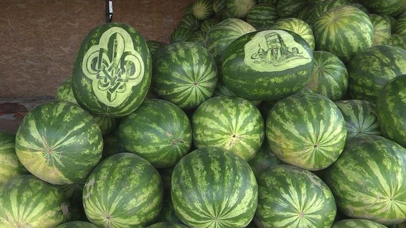 Лучанка 12 років вирізьблює картини на фруктах та овочах. ВІДЕО