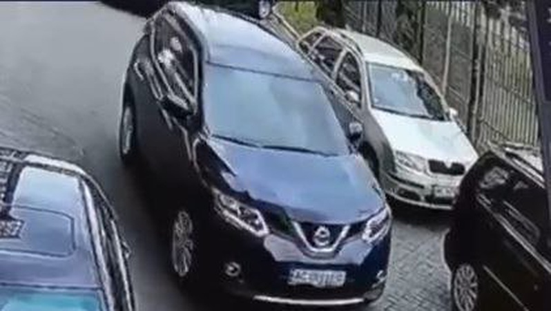 У Луцьку в дворі будинку жінка переїхала собаку: патрульні відшукали водійку