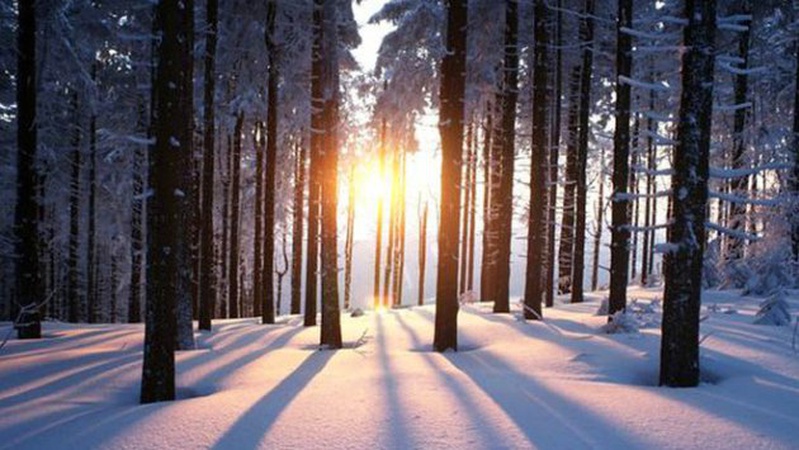 Яка погода очікується завтра, 2 лютого