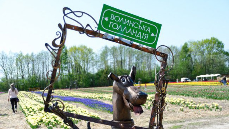 Оголосили дату фестивалю «Волинська Голландія»