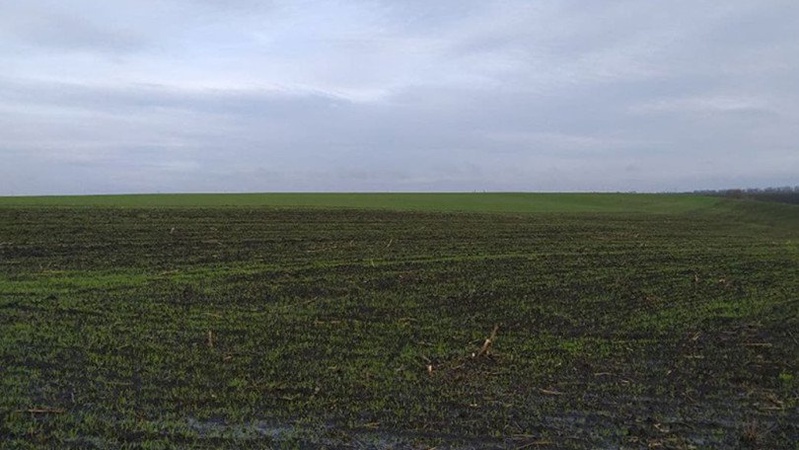 У громаді на Волині відсудили земельну ділянку вартістю 8 мільйонів гривень