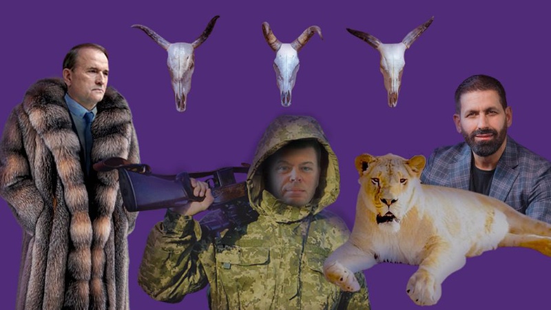 Лев, мисливські трофеї та шуба за мільйон: живі та мертві тварини у деклараціях нардепів