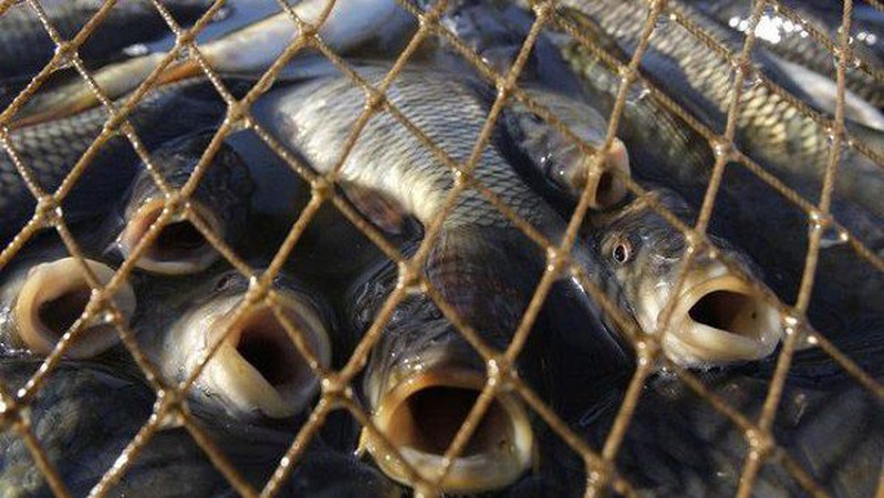 На Волині оштрафували браконьєрів