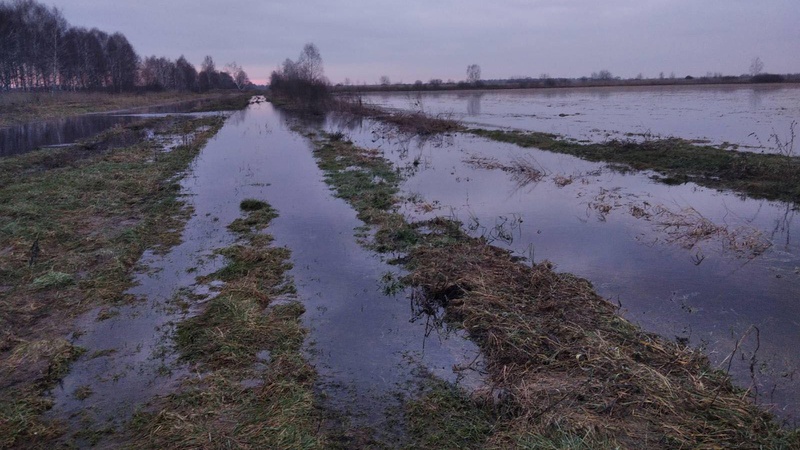 Плаває практично все: у двох громадах на Волині затопило подвір’я, обійстя та поля