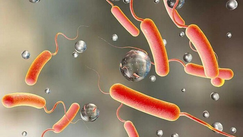 Світом шириться нова епідемія