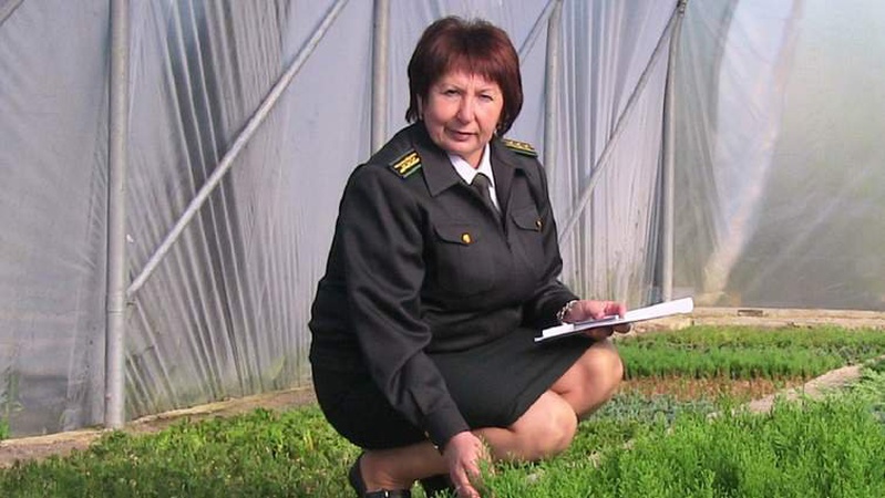 Ексдиректорка насіннєвого центру на Волині заплатить штраф за хабар