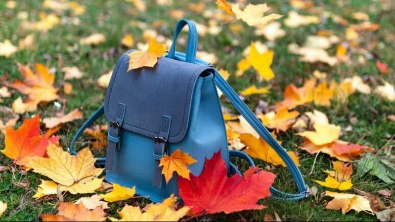 Осінні канікули планують перенести на зиму понад чверть шкіл країни, – Шкарлет