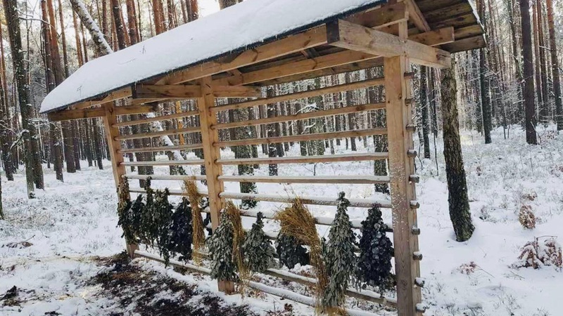 На Волині облаштували пів тисячі підгодівельних комплексів для тварин