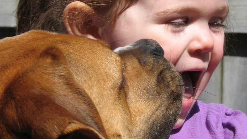 Судитимуть волинянку, чий собака покусав семирічну дитину